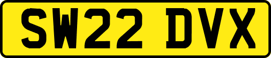 SW22DVX