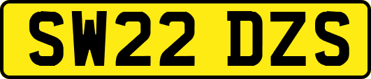 SW22DZS