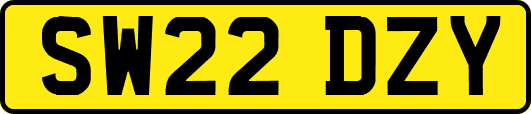 SW22DZY