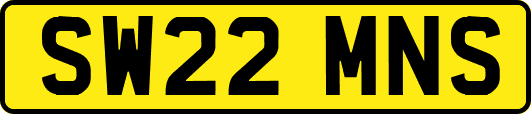 SW22MNS