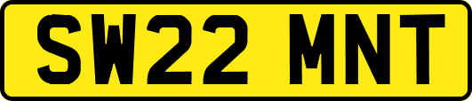 SW22MNT