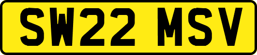 SW22MSV