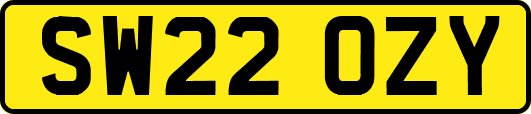 SW22OZY