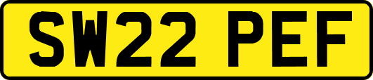 SW22PEF