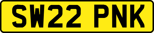 SW22PNK