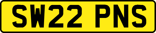 SW22PNS