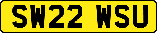 SW22WSU