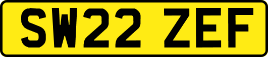 SW22ZEF