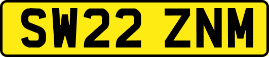 SW22ZNM