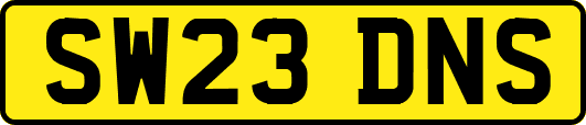 SW23DNS