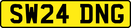 SW24DNG