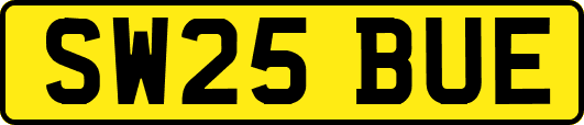 SW25BUE