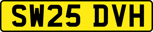 SW25DVH