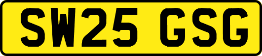 SW25GSG