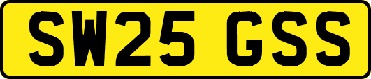 SW25GSS