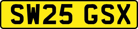 SW25GSX