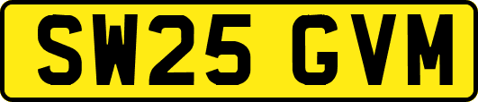 SW25GVM
