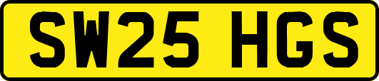 SW25HGS