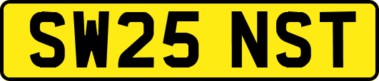 SW25NST