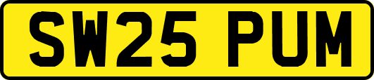 SW25PUM