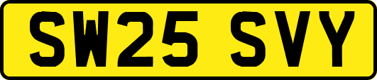 SW25SVY
