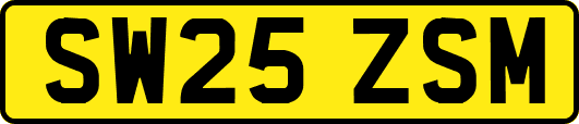SW25ZSM