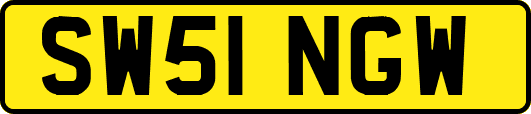 SW51NGW