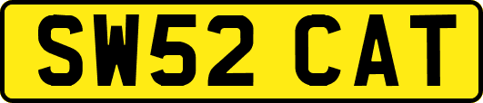 SW52CAT