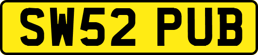 SW52PUB