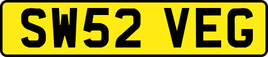 SW52VEG