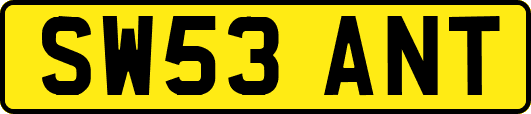 SW53ANT
