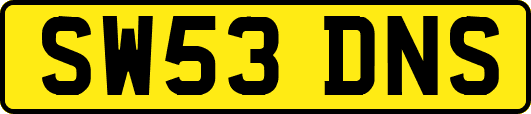 SW53DNS