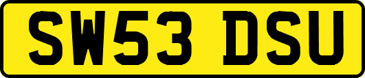SW53DSU