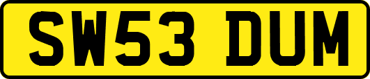SW53DUM