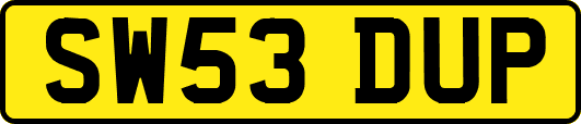 SW53DUP