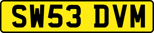 SW53DVM