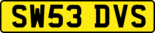 SW53DVS