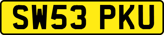 SW53PKU