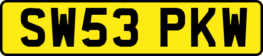 SW53PKW