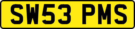 SW53PMS