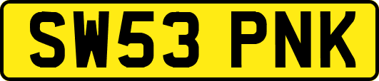 SW53PNK