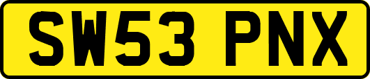 SW53PNX