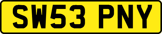 SW53PNY