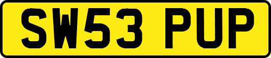 SW53PUP