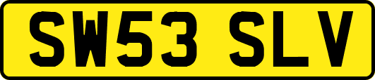 SW53SLV
