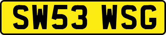 SW53WSG