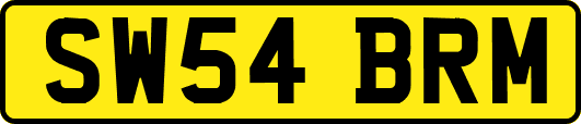 SW54BRM