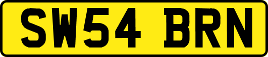 SW54BRN