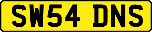 SW54DNS