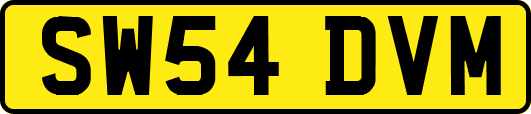 SW54DVM